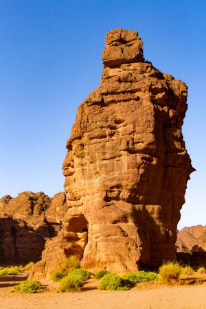 Photo for Sahara desert. Stone forest. A sandstone rock  in amazing shape. Tadrart mountains. Tassili N'Ajjer National Park. Algeria, Africa - Royalty Free Image