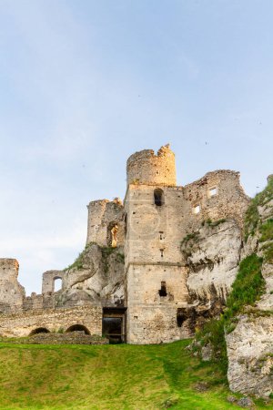 Photo for Ogrodzieniec Castle  in the rays of the sunset sun. Ruins of medieval royal castle on the limestone rocks. Ogrodzieniec Poland. Krakow-Czestochowa Upland. - Royalty Free Image