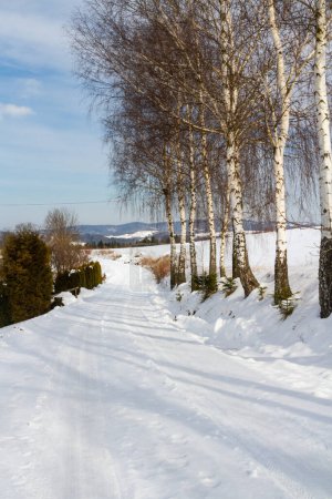 Photo for Winter scenery. Snowy rural road.  Poland - Royalty Free Image