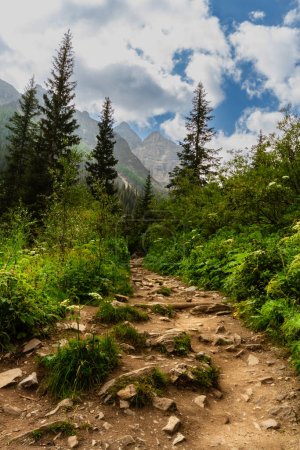 Photo for Hiking trail to Plain of Six Glaciers. Narrow path in the mountains. The Rocky Mountains. Banff National Park, Alberta, Canada - Royalty Free Image