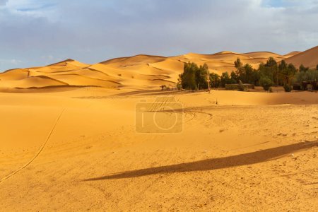 Photo for A small oasis in the desert near Erg Chebbi dunes.  Morocco, Africa - Royalty Free Image