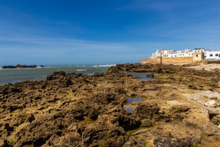 Téléchargez les photos : La côte atlantique rocheuse et les murs fortifiés de la ville côtière d'Essaouira. Maroc, Afrique - en image libre de droit