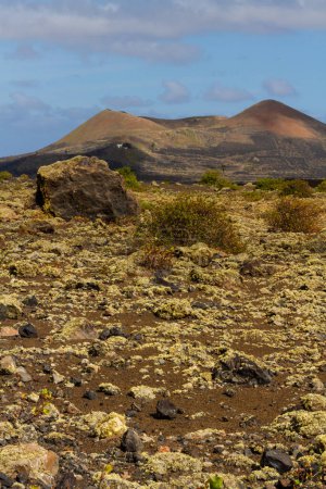 Haking trail around Montana Colorada.   Huge volcanic bomb. Lanzarote island, Canary islands, Spain, Europe