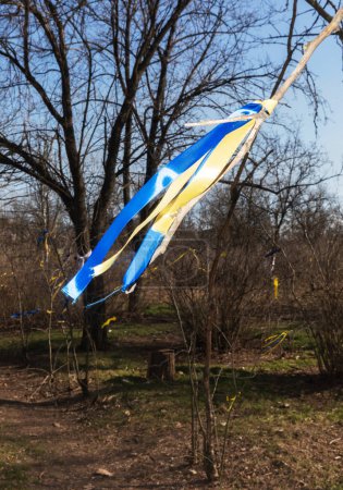 Téléchargez les photos : Rubans jaunes et bleus symbolisant le drapeau ukrainien sur les branches des arbres en l'honneur des héros de la défense territoriale morts le 1er mars 2022 dans le parc Lilas à Kherson. - en image libre de droit