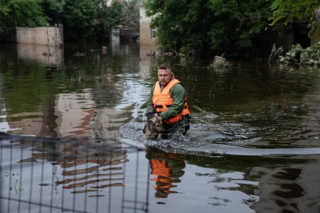 Foto de KHERSON, UCRANIA - Junio. 12, 2023: Un trabajador de rescate es visto rescatando a un perro de un área inundada - Imagen libre de derechos
