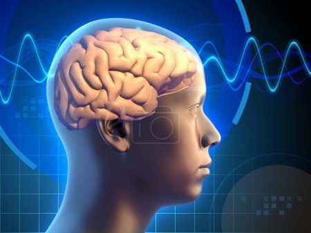 Téléchargez les photos : Image d'un cerveau humain, traversé par des signaux électriques, représentant des processus de pensée en action. Illustration numérique, rendu 3D. - en image libre de droit