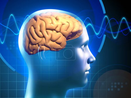 Foto de Imagen de un cerebro humano, atravesado por señales eléctricas, que representa procesos de pensamiento en acción. Ilustración digital, renderizado 3D. - Imagen libre de derechos