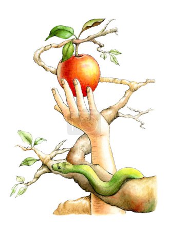 Foto de Eva recogiendo la fruta prohibida, mientras la serpiente la observa desde una rama. Ilustración tradicional sobre papel. - Imagen libre de derechos