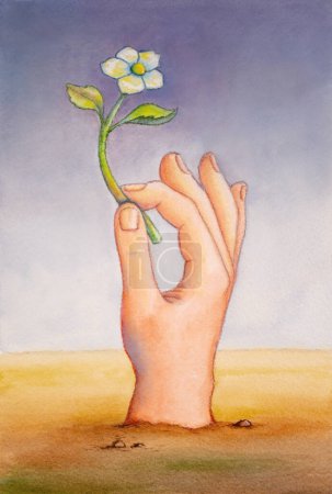Foto de Mano masculina sosteniendo una pequeña flor blanca. Ilustración tradicional en acuarela sobre papel. Mi propia obra. - Imagen libre de derechos