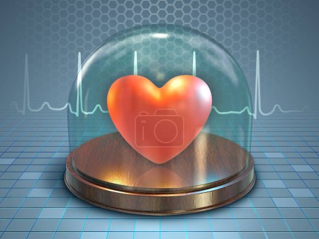 Téléchargez les photos : Coeur humain stocké dans un dôme de verre. Illustration numérique, rendu 3D. - en image libre de droit