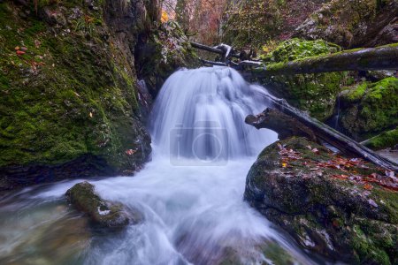 Photo for Landscape with a waterfall in the lush forests - Royalty Free Image