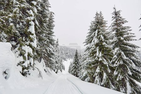 Téléchargez les photos : Paysage hivernal avec une route couverte de neige à travers la forêt de montagne - en image libre de droit