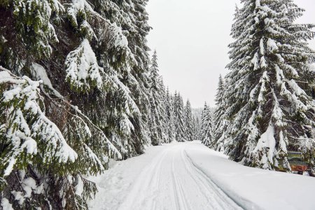 Téléchargez les photos : Paysage hivernal avec une route couverte de neige à travers la forêt de montagne - en image libre de droit