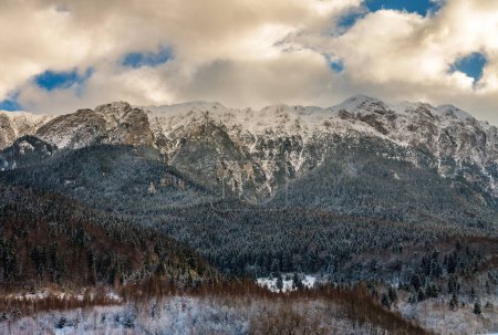 Téléchargez les photos : Paysage hivernal au coucher du soleil avec des montagnes couvertes de pinèdes et de neige - en image libre de droit