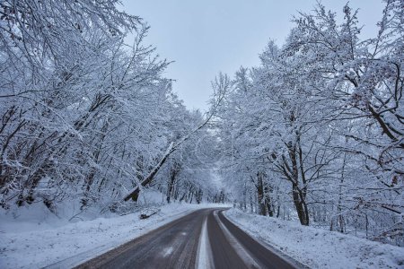 Foto de Paisaje invernal con un camino cubierto de nieve a través del bosque montañoso - Imagen libre de derechos