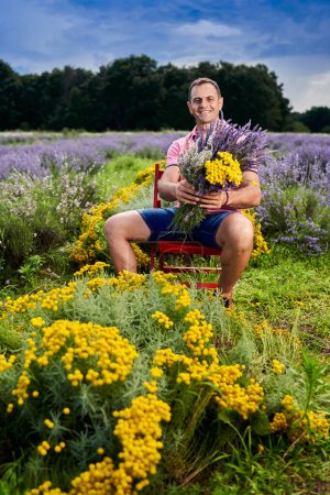 Téléchargez les photos : Producteur de lavande récoltant les fleurs parfumées au milieu de l'été - en image libre de droit