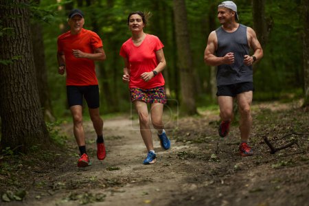 Photo for Group of three runners, jogging on running trail through the forest - Royalty Free Image