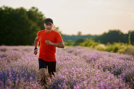 Photo for Athletic endurance runner doing a run through a lavender field at sunset - Royalty Free Image