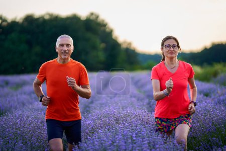 Photo for Couple of runners jogging in a lavender plantation at sunset - Royalty Free Image
