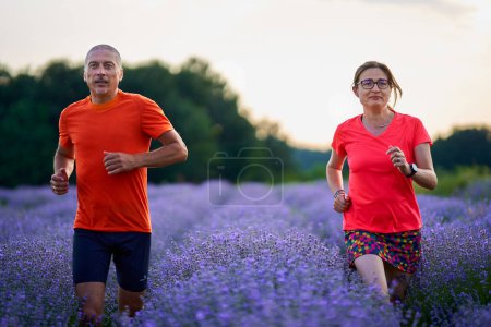 Téléchargez les photos : Couple de coureurs faisant du jogging dans une plantation de lavande au coucher du soleil - en image libre de droit