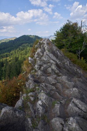 Photo for Basalt geologic column formations from Detunatele in Romania, natural phenomenon occuring when lava is dried fast - Royalty Free Image
