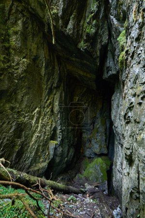 Foto de Cueva oscura formada en millones de años en las montañas de piedra caliza - Imagen libre de derechos