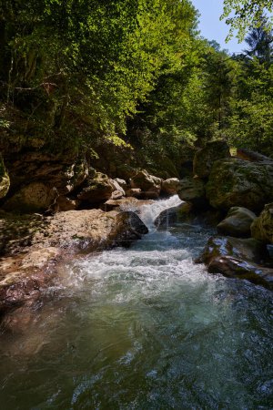 Foto de Paraíso virgen en las montañas rumanas con desfiladero de ríos y aguas cristalinas, rocas musgosas y bosque - Imagen libre de derechos