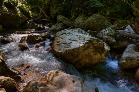 Photo for Untouched paradise in Romanian mountains with river gorge and pristine waters, mossy boulders and forest - Royalty Free Image