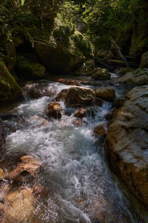Téléchargez les photos : Paradis intacte dans les montagnes roumaines avec gorge fluviale et eaux vierges, rochers moussus et forêt - en image libre de droit