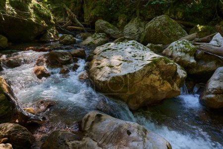 Téléchargez les photos : Paradis intacte dans les montagnes roumaines avec gorge fluviale et eaux vierges, rochers moussus et forêt - en image libre de droit