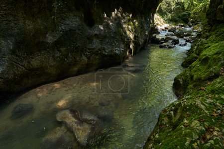 Foto de Paraíso virgen en las montañas rumanas con desfiladero de ríos y aguas cristalinas, rocas musgosas y bosque - Imagen libre de derechos