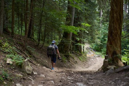 Téléchargez les photos : Photographe de nature professionnel avec sac à dos randonnée dans la forêt en montagne avec caméra - en image libre de droit