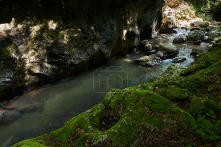 Téléchargez les photos : Rivière de montagne qui coule à travers un canyon avec une végétation luxuriante et des rochers mousseux - en image libre de droit