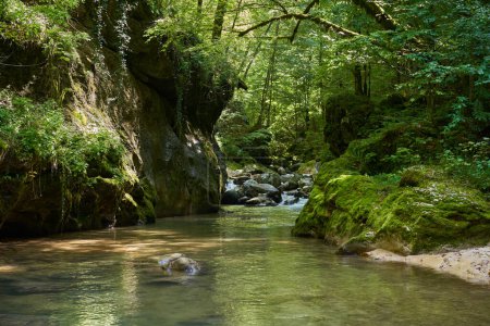 Téléchargez les photos : Rivière de montagne qui coule à travers un canyon avec une végétation luxuriante et des rochers mousseux - en image libre de droit