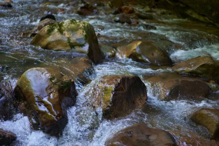 Téléchargez les photos : Rapides fluviaux avec eau claire froide et rochers mousseux - en image libre de droit