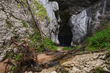 Foto de Paisaje de una cueva excavada por el agua en las montañas de piedra caliza - Imagen libre de derechos