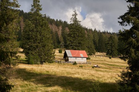 Foto de Paisaje de finales de verano con cabaña y montañas cubiertas de bosque de pinos - Imagen libre de derechos