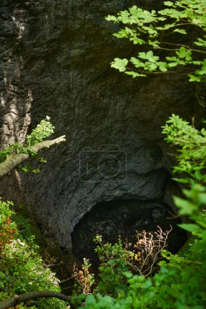 Téléchargez les photos : Un cenote naturel, un gouffre, une grotte verticale au milieu de la forêt - en image libre de droit