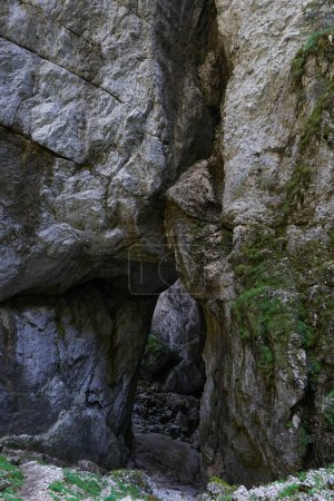 Foto de Entrada de una cueva excavada en una montaña de piedra caliza, parte de un complejo kárstico - Imagen libre de derechos