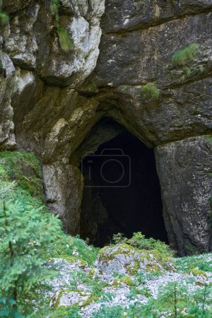 Foto de Entrada de una cueva excavada en una montaña de piedra caliza, parte de un complejo kárstico - Imagen libre de derechos