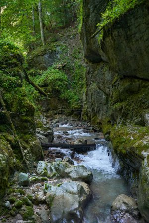 Foto de Vibrante paisaje de río de montaña tallando su camino a través de un cañón con enormes rocas musgosas y bosque - Imagen libre de derechos
