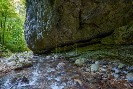 Téléchargez les photos : Paysage vibrant de rivière de montagne se frayant un chemin à travers un canyon avec d'énormes blocs de mousse et de la forêt - en image libre de droit