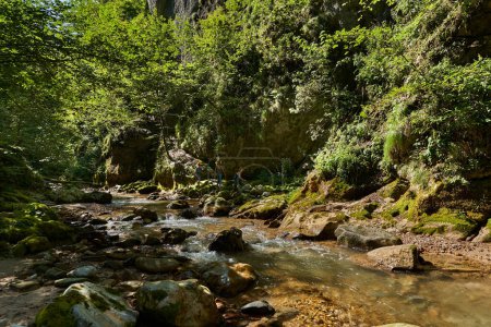 Téléchargez les photos : Un groupe de trois femmes actives explorant une gorge sauvage avec une rivière de montagne coulant à travers - en image libre de droit