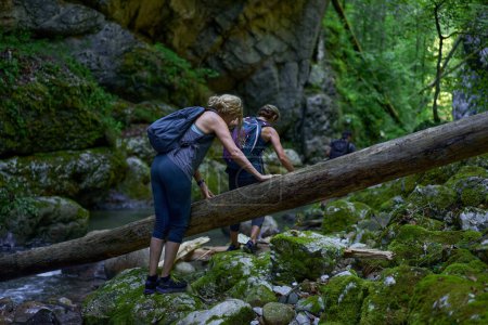 Photo for Women hikers with backpacks exploring a lush canyon and a river - Royalty Free Image