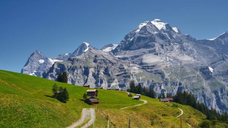 Téléchargez les photos : Paysage avec les Alpes en Suisse avec des pics bruts recouverts de neige en été - en image libre de droit