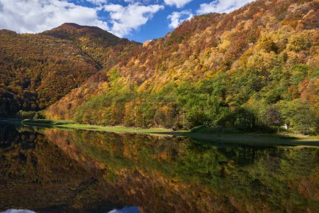 Téléchargez les photos : Paysage magnifique dynamique avec des forêts sur les montagnes et un lac qui les reflète - en image libre de droit
