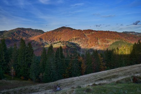 Foto de Paisaje vibrante con bosques de varios árboles de colores en el otoño, cubriendo las montañas al atardecer - Imagen libre de derechos