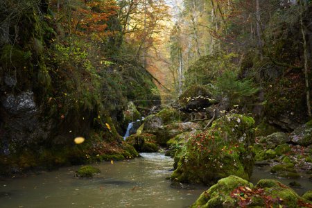 Téléchargez les photos : Paysage animé d'un canyon avec une rivière et une forêt d'automne luxuriante et colorée - en image libre de droit
