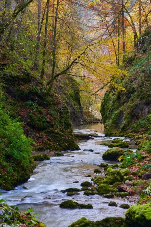 Téléchargez les photos : Paysage animé d'un canyon avec une rivière et une forêt d'automne luxuriante et colorée - en image libre de droit