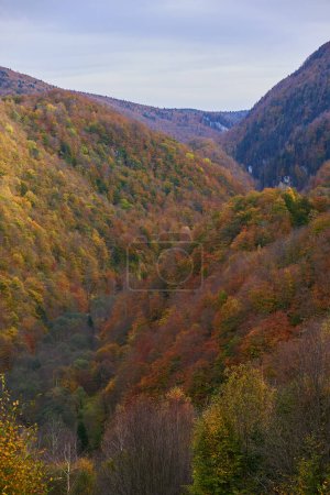 Photo for Vibrant autumnal landscape with mountains covered in colorful forests - Royalty Free Image